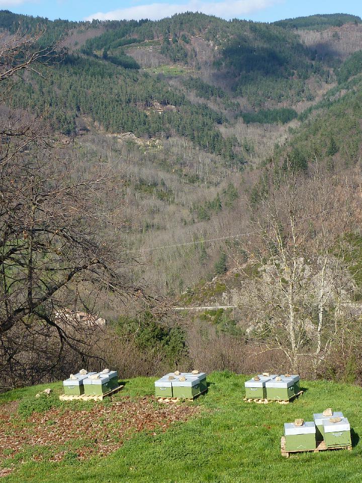 Miellerie du Moulin Miellerie du Moulin