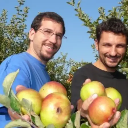 Fruitys